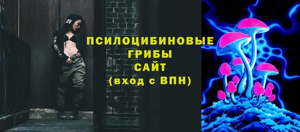 твердый Алзамай