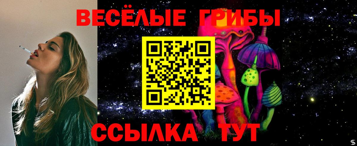 Галлюциногенные грибы мицелий Пермь