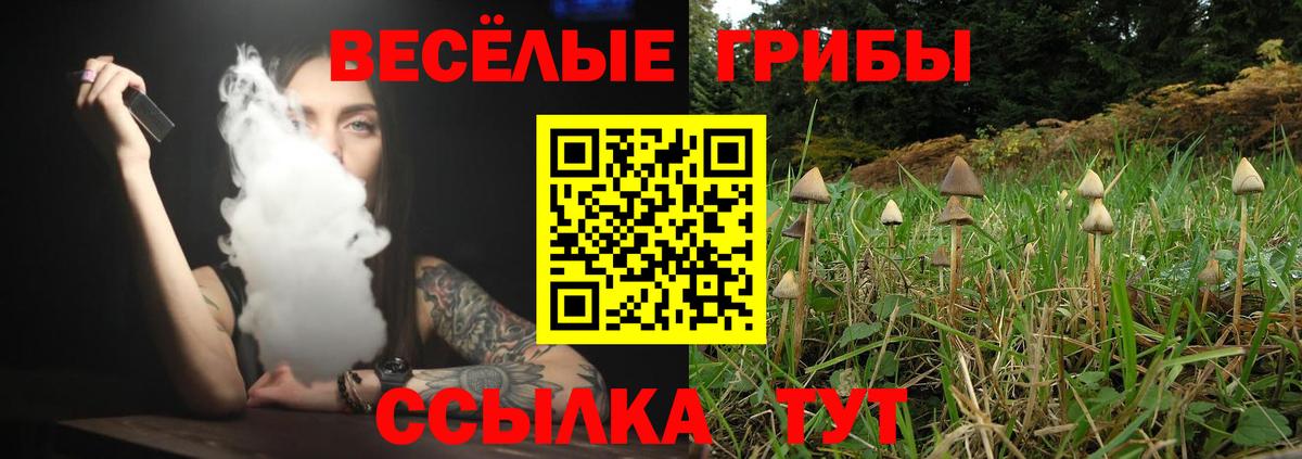 Галлюциногенные грибы Magic Shrooms  Вход с VPN  дарнет шоп  Пермь 